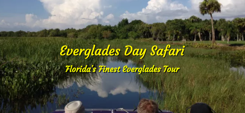 Florida-Everglades-Tour-Airboat-Rides-Guided-Eco-Tours-Safari-EcoSafari-com